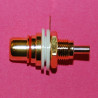 RCA PRESA DA PANELLO ROSSA DORATA