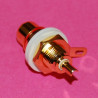 RCA PRESA DA PANELLO ROSSA DORATA