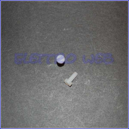 VITE IN NYLON  L10MM