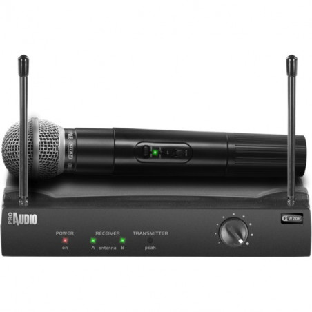 Microfono wireless ProAudio PW210