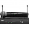 Microfono wireless ProAudio PW210