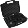 Microfono wireless ProAudio PW210