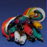 Set 10 Cavetti colorati con coccodrilli