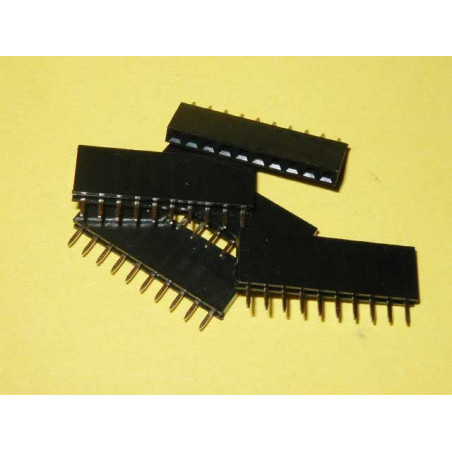 STRIP FEMMINA 1X10 POLI DRITTO