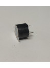 CICALINO BUZZER CON  ELETTRONICA PKB24SPC-3601