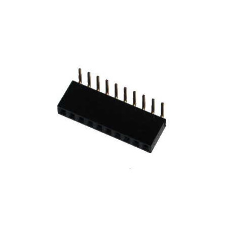 STRIP FEMMINA 1x10 POLI 90