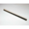 STRIP MASCHIO 2X40 POLI  L6