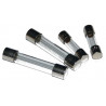 FUSIBILE 6X30 8A 250V